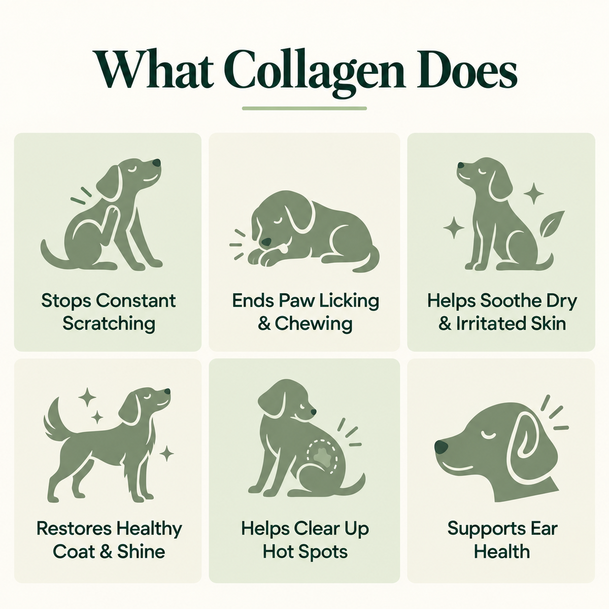 PawLume Liquid Collagen Drops for Dogs